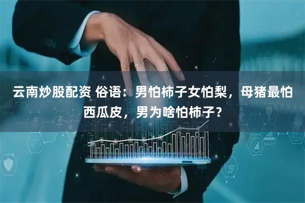 云南炒股配资 俗语：男怕柿子女怕梨，母猪最怕西瓜皮，男为啥怕柿子？